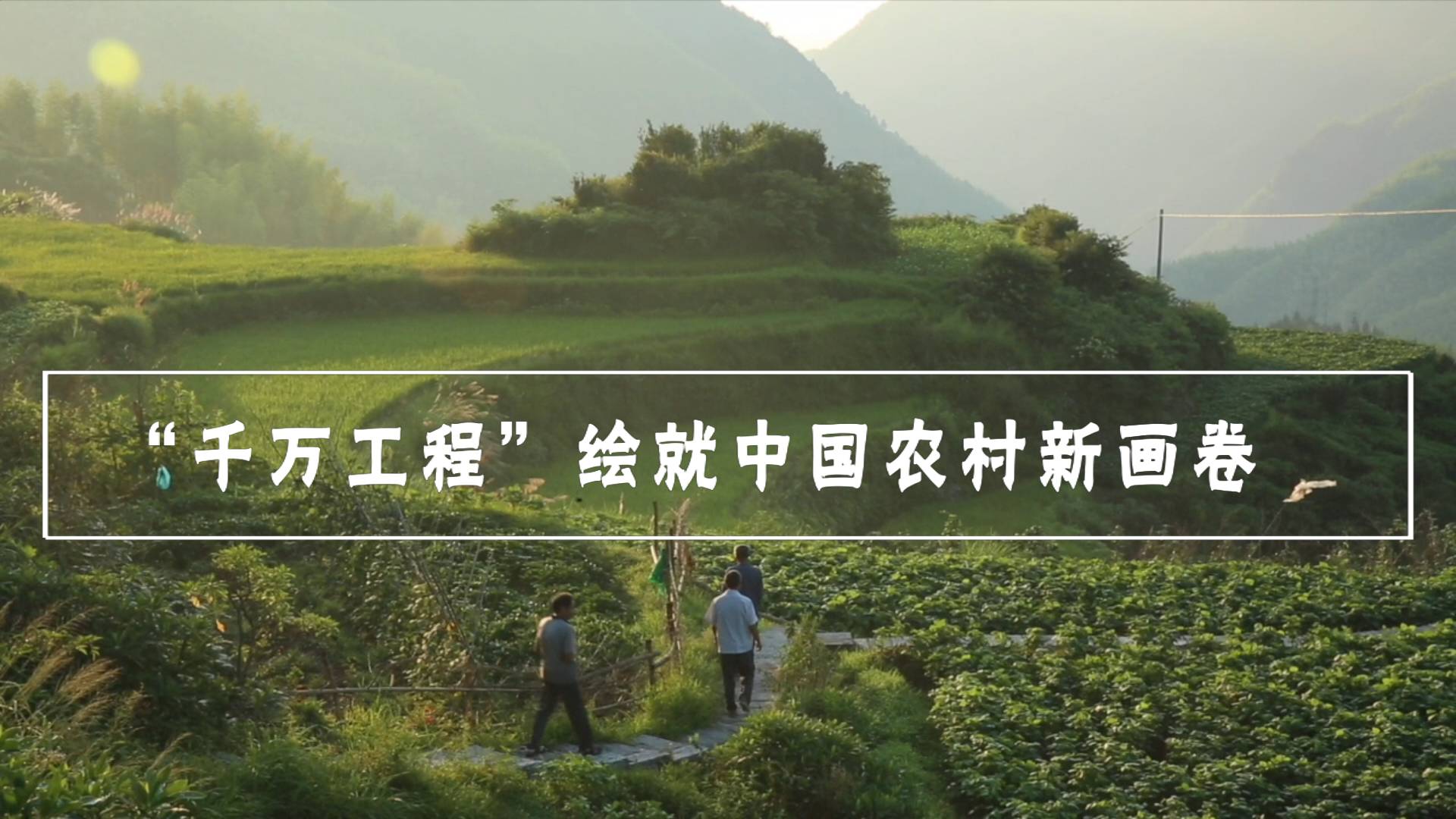 千萬工程