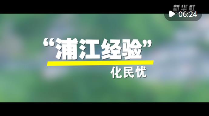 浦江經驗